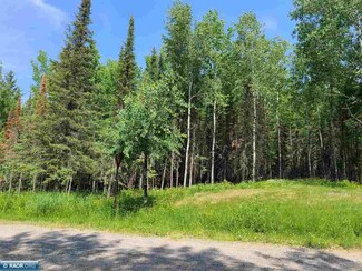 TBD County Rd 138, International Falls, MN 56649