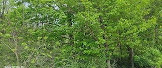 TBD County 45 Blvd, Red Wing, MN 55066