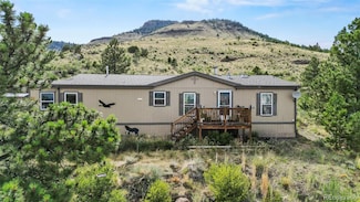 1711 Witcher Mountain Rd, Guffey, CO 80820