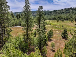 5601 Lupine Ln Unit 114, McCall, ID 83638