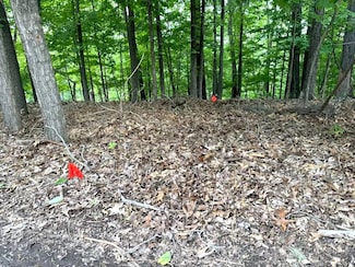 1513 Wolf Trail Rd, Ballwin, MO 63021