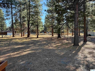 687-710 Linden Way, Susanville, CA 96130