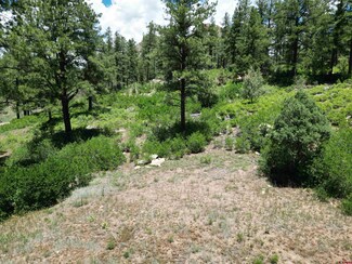 1156 Twin Buttes Ave, Durango, CO 81301
