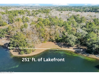 88 Tomotley Barony Dr, Seabrook, SC 29940