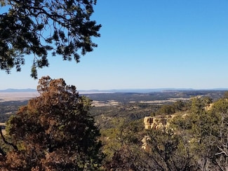 7 Cebolla Canyon Rd, Pie Town, NM 87827