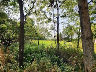 Lot 615 Brookside Dr, Hopewell Township, IL 61375