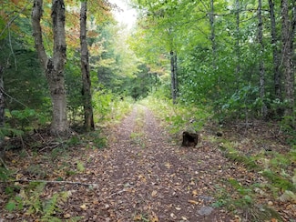 0 Beaver Ln Unit 1615025, Linneus, ME 04730