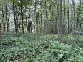 00 Herrick Rd, Gerry, NY 14740