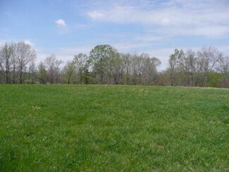 000 Morning Meadows Lane Tract 1 Unit Tract 1, Wickliffe, KY 42087