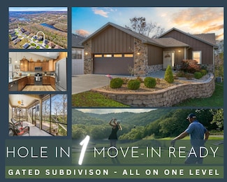 311 Cedar Glade Dr, Branson West, MO 65737