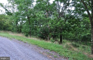 L-65 Sawmill Dr, Gainesboro, VA 22637