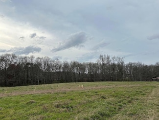 0 Bowdon Tyus Road - 7 08 Acres Unit 147534, Bowdon, GA 30108