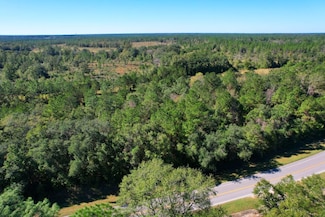 0 S Grand Bay Wilmer Rd Unit 22030741, Mobile, AL 36608
