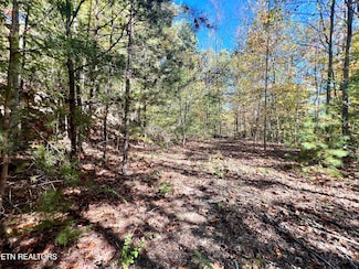 1844 Creek Hollow Way, Sevierville, TN 37876