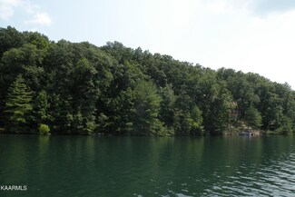 45 Chelteham Ln, Crossville, TN 38558