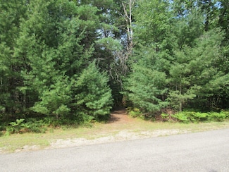 Lot 7 & 8 Siesta Trail, Gerrish Township, MI 48653