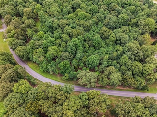 0 Iron Hill Rd Unit RTC2942392, Burns, TN 37029