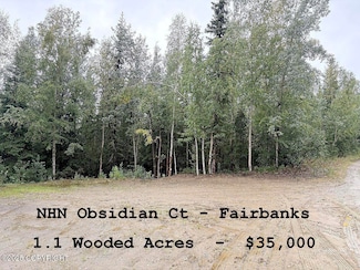 L12 B2 Obsidian Ct, Goldstream, AK 99709