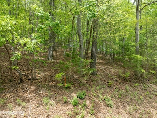 211 Wahuhu Ln, Loudon, TN 37774