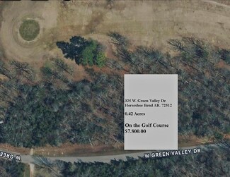 325 W Green Valley Dr, Horseshoe Bend, AR 72512