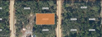 0 Creag Dr Unit 2054842, Interlachen, FL 32148
