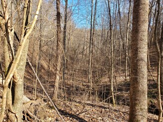0 Highway 50 Loop W Unit RTC2340398, Centerville, TN 37033