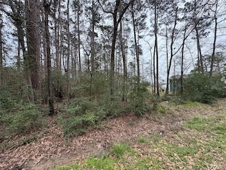 Lot 105 Whisperwood Dr, Onalaska, TX 77360