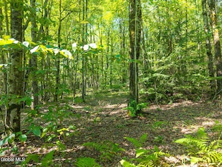 135 Dragoo Rd, Maryland, NY 12155