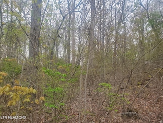 8646 Cherokee Trail, Crossville, TN 38572
