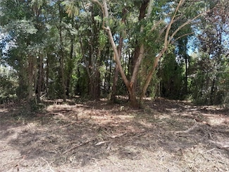 TBD NE 48th St, Williston, FL 32696