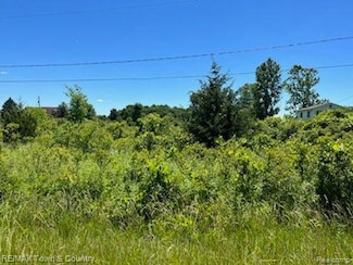 0 E Wilson Rd Unit 20221009599, Thetford Township, MI 48420