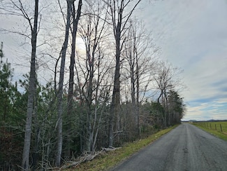 0 Roundabout Rd Unit 23790778, Louisa, VA 23093