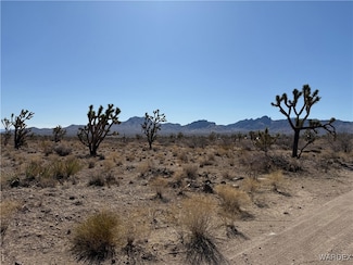 0 N Lomila Dr Unit 25622, Dolan Springs, AZ 86441