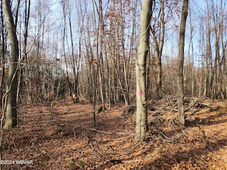 0 Pole Bridge Rd Unit LOT 39 WB-100451, Laporte Township, PA 17758