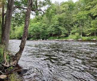 3542 Silver Lake Rd Unit 3552, Saranac, NY 12981