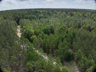 0 Drew Bennett Rd Unit 23921571, Midville, GA 30441