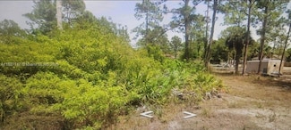 908 Euclid Ave, Lehigh Acres, FL 33972