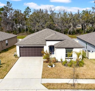 1856 Red Loop, Lakeland, FL 33801