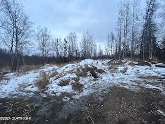 495 S Harriette St, Wasilla, AK 99654