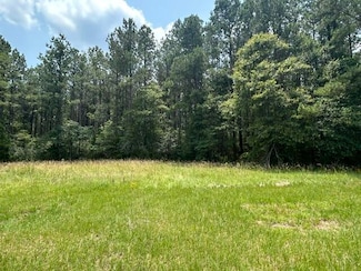 Parcel 4 George Boutwell Rd, Ovett, MS 39464