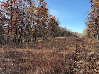 XXX Buck Creek Rd, Polk Township, MO 63546