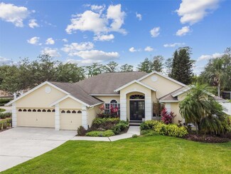 16906 Filly Ln, Odessa, FL 33556