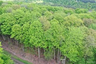 0 Dublin Terrace Unit B1651089, Salamanca, NY 14779