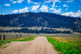 399 Cheyenne Trail, Hartsel, CO 80449
