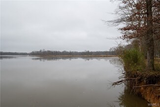 0 Cypress Point Dr, Sawyerville, AL 36776