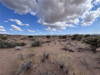 Lot 102 Horizon Rd, Dolan Springs, AZ 86413