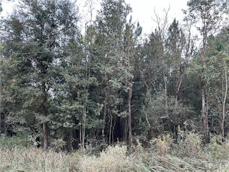 0 Taylor Ave Unit 7482617, Irvington, AL 36544