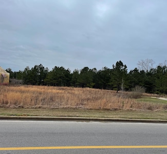 lot 14 Walter Peyton Dr, Columbia, MS 39429