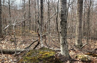 49 & 67 Shawnee Dr, Charlemont, MA 01346