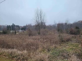 10140 Fairway Dr, Lake Leann, MI 49249